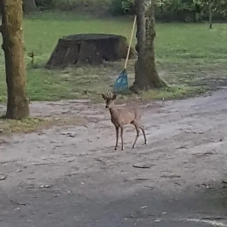 住宿加早餐酒店 Manoir Des Turets Yvré-lʼÉvêque