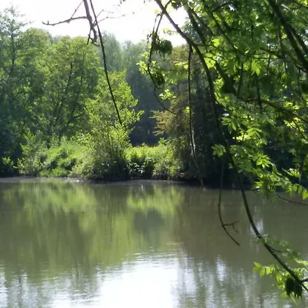 Manoir Des Turets 住宿加早餐酒店 4*