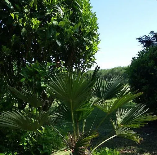 Bed & Breakfast Manoir Des Turets 4*